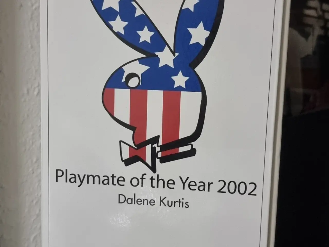 Billede 6 - 3 PLAYBOY PLAYMATES
