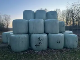 Wrap 1. slæt 2024