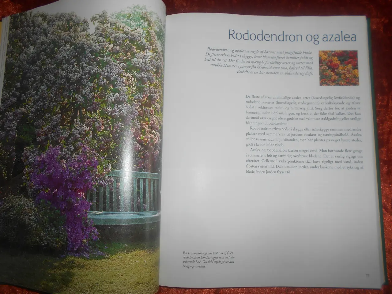 Billede 3 - Havens ABC, Lars-Eric Samuelsson, Ulf Schenkmanis