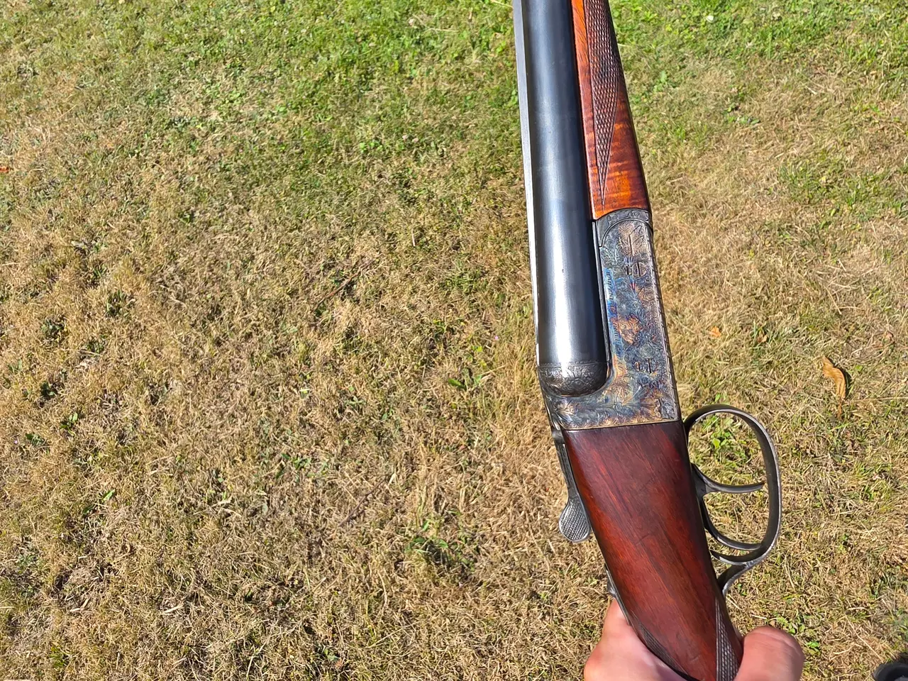 Billede 6 - AYA Goldpoint, Ambassador eller Coral Deluxe