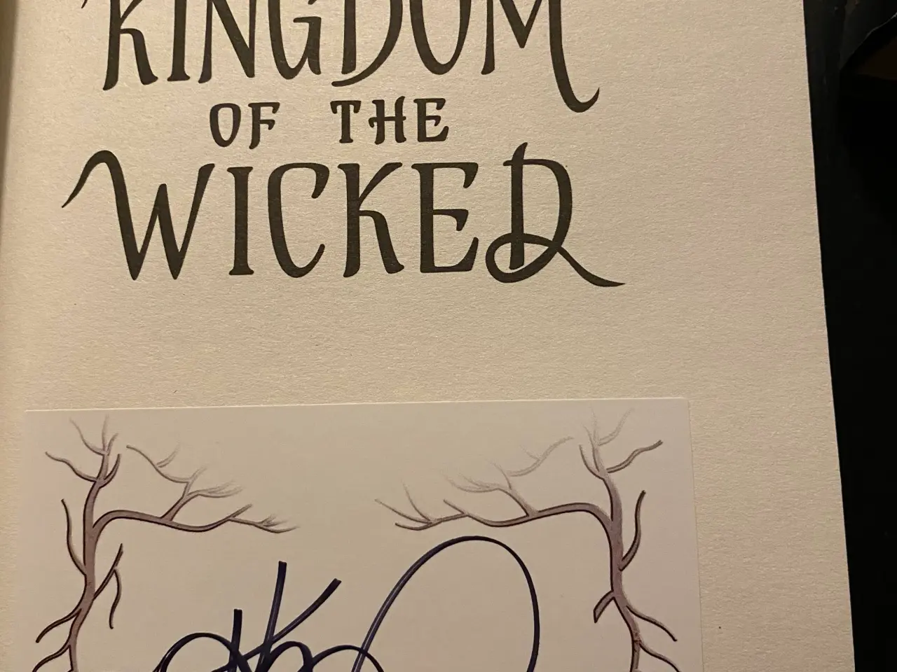 Billede 3 - Kingdom of the Cursed af Kerri Maniscalco