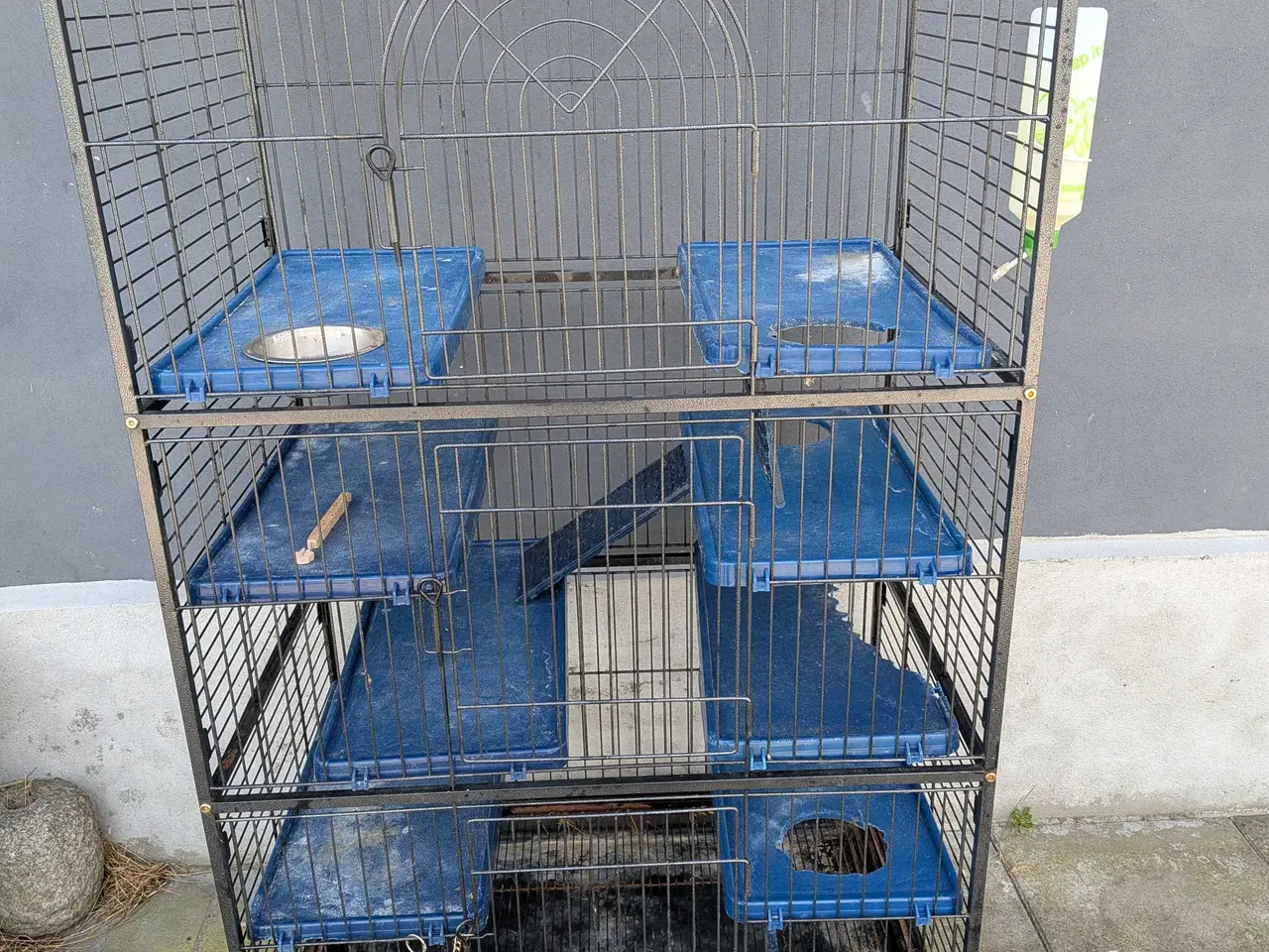 Billede 1 - stor brugt chinchilla