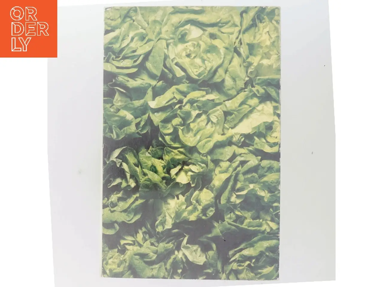 Billede 3 - Vegetarens salatbog (Bog)