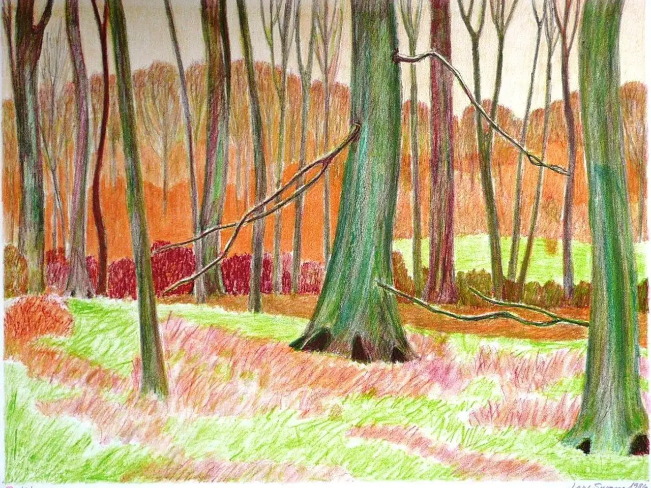 Billede 1 - Lars Swane
