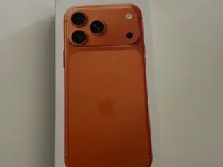iPhone 17 pro max 1tb