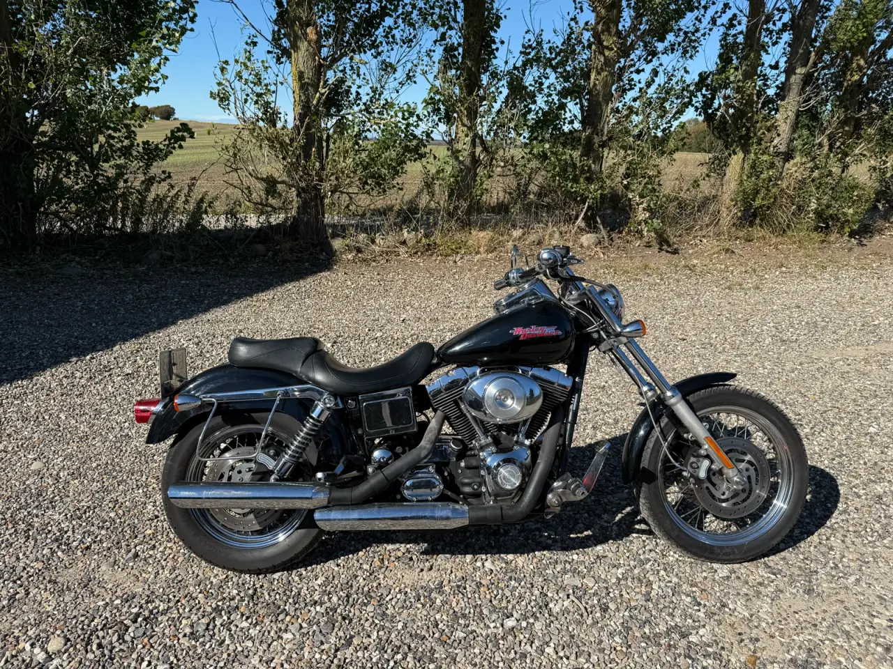 Billede 1 - Flot dyna low raider