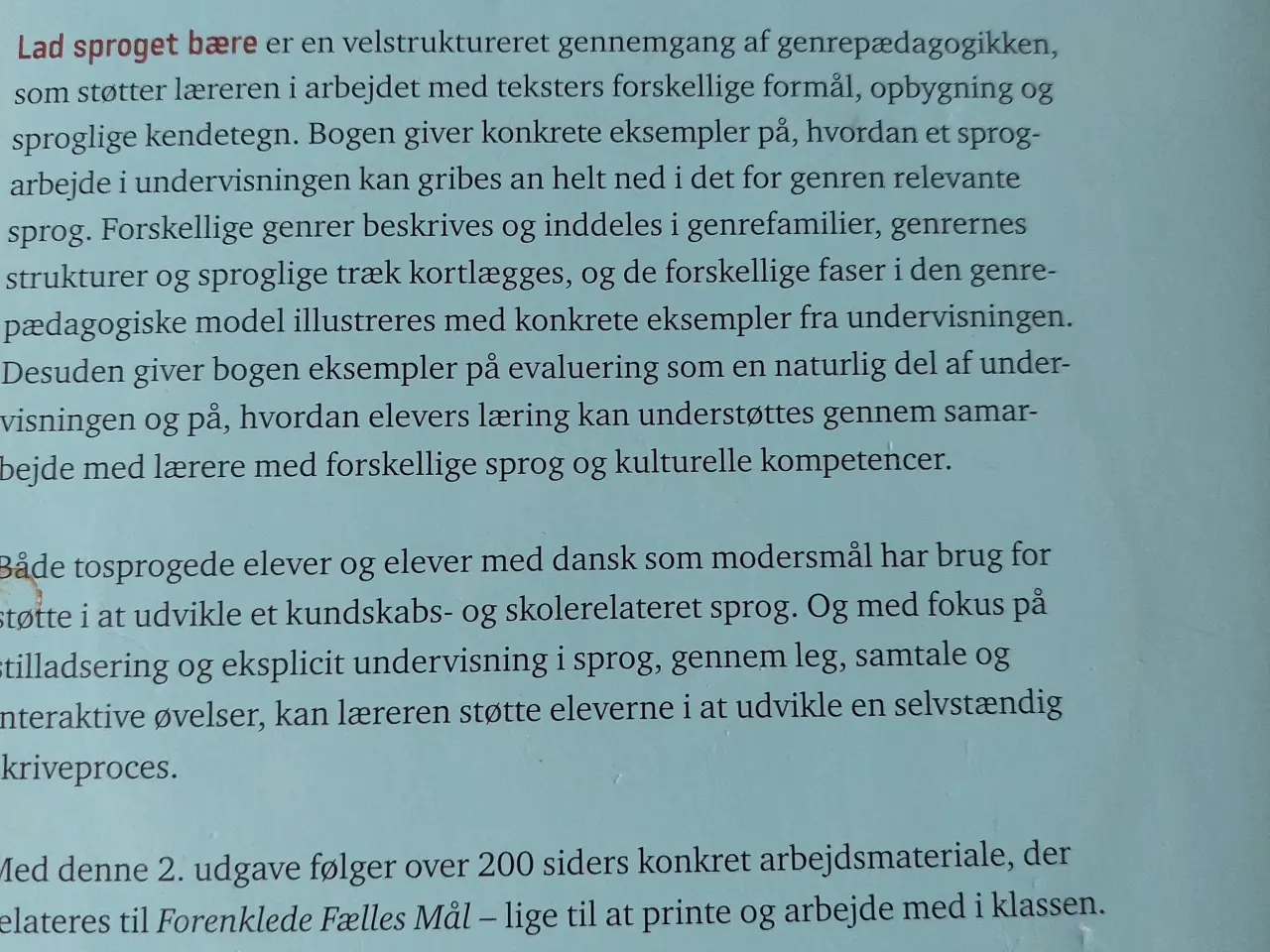 Billede 3 - Lad sproget bære, genrepædagogik i praksis