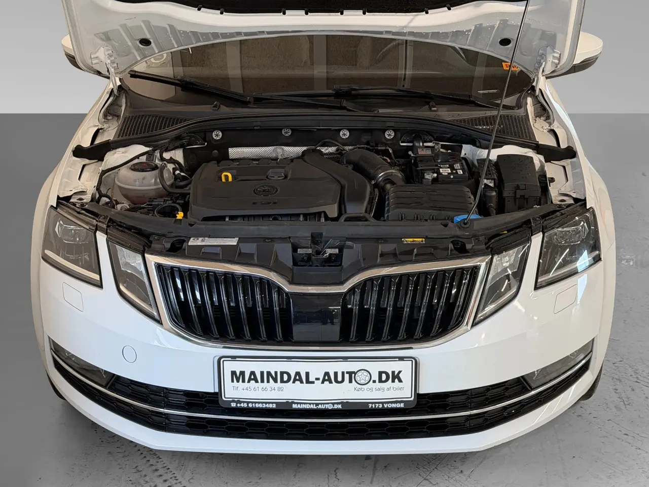 Billede 14 - Skoda Octavia 1,5 TSi 150 Style Combi DSG