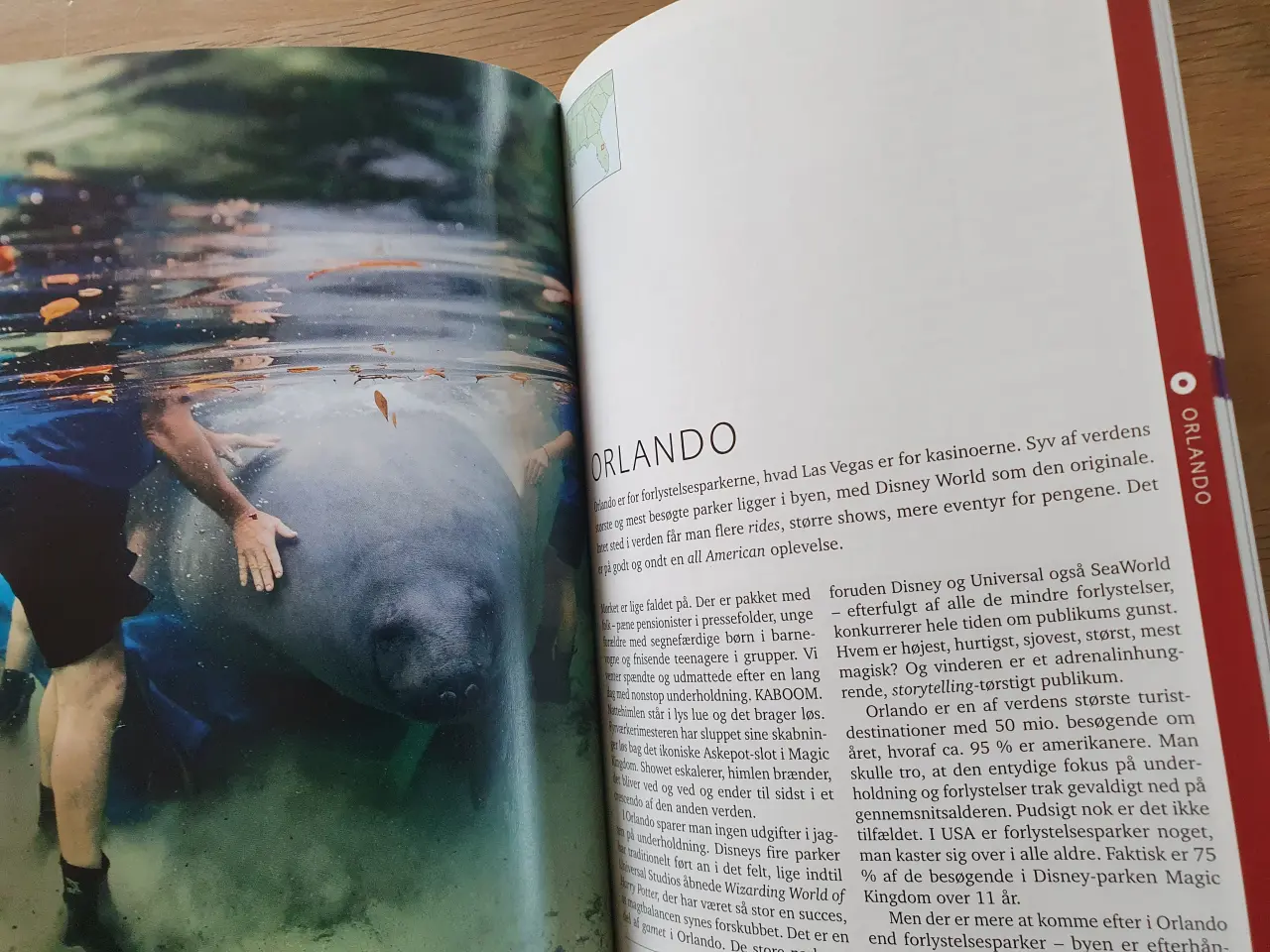 Billede 2 - Turen går til Florida 