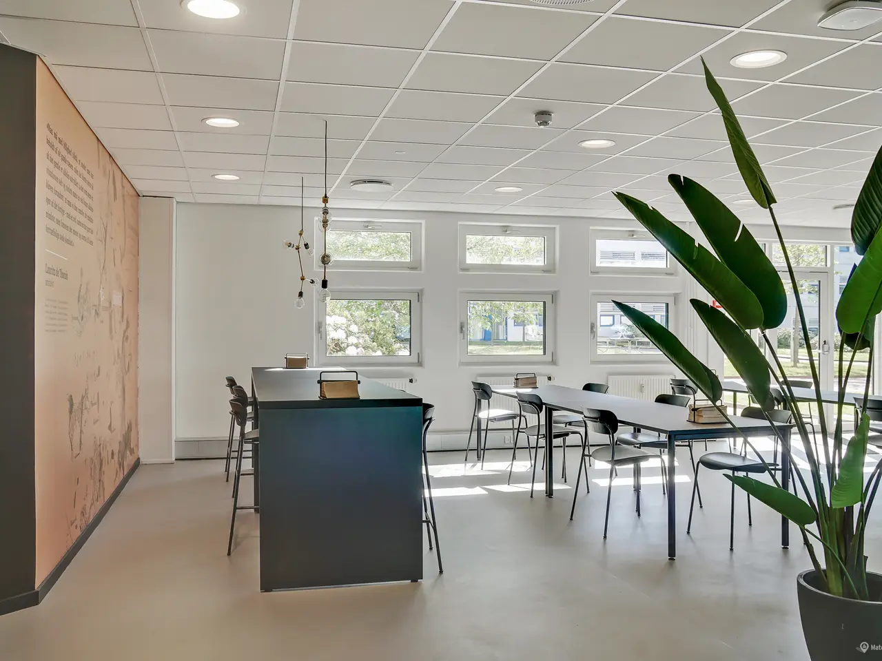 Billede 15 - Lyse og moderne kontorlokaler med rå kant