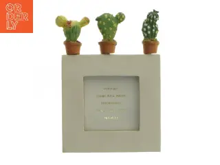 Cactus fotoramme (str. 8x8 cm)