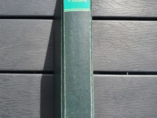 Klinisk ordbog