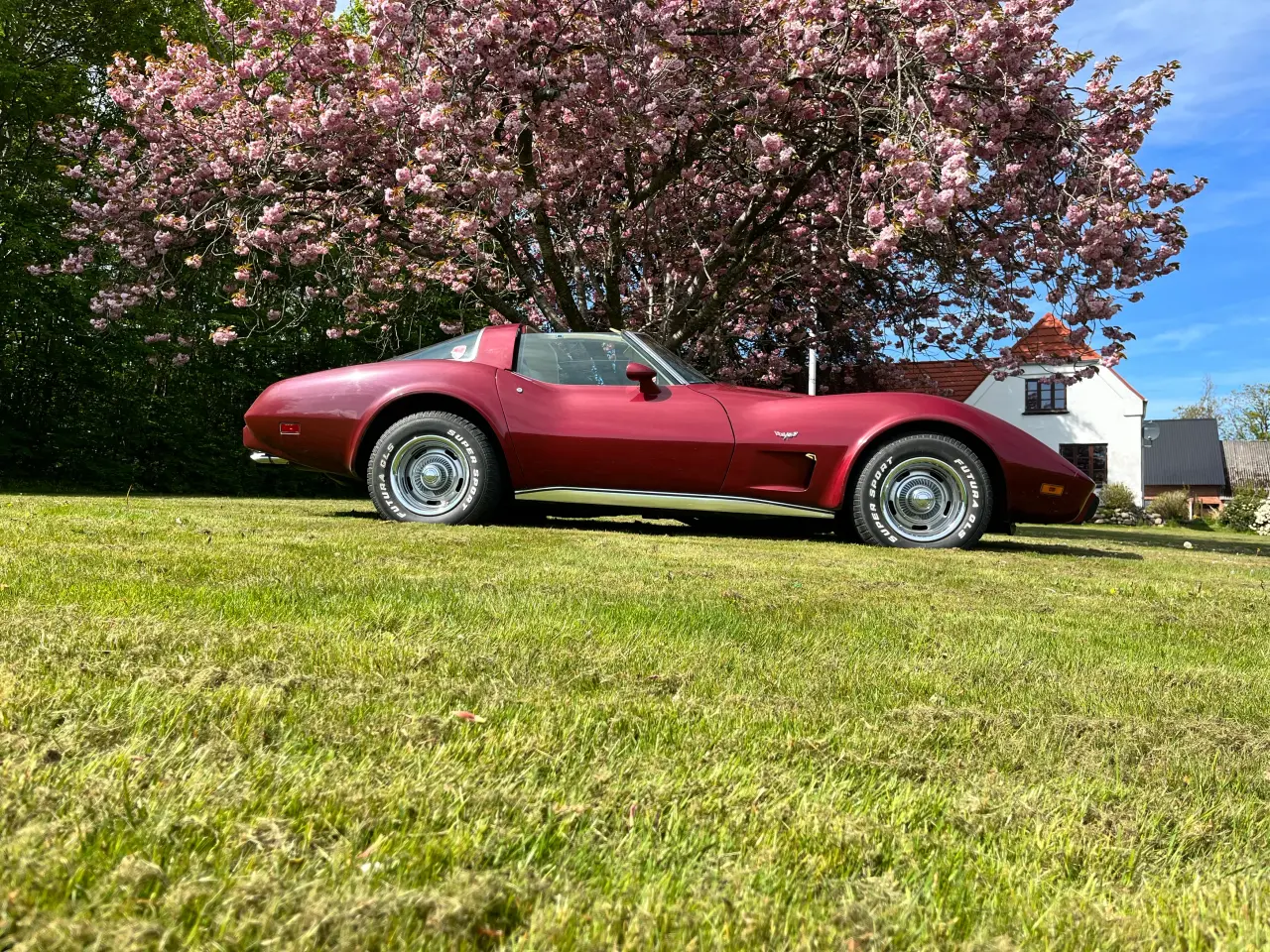 Billede 4 -  Chervolet Corvette C3 Stingray 1979 5,7 V8