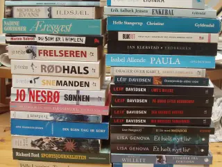 Diverse forfattere 01