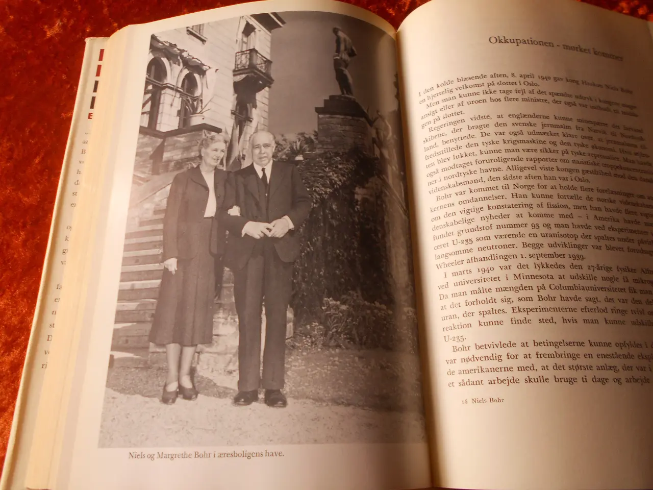 Billede 4 - Niels Bohr - en biografi, Ruth Moore,