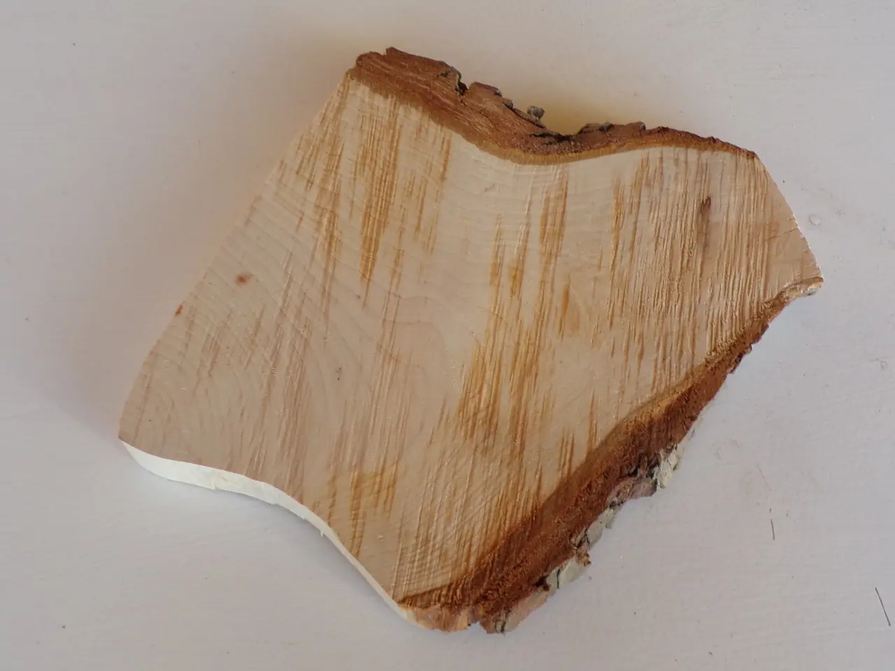 Billede 1 - NY Thuja træskive 20 cm til kreative projekter