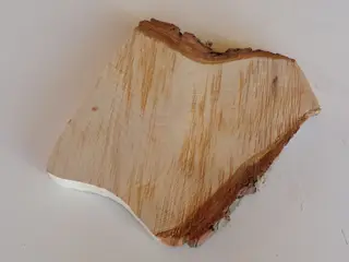 NY Thuja træskive 20 cm til kreative projekter