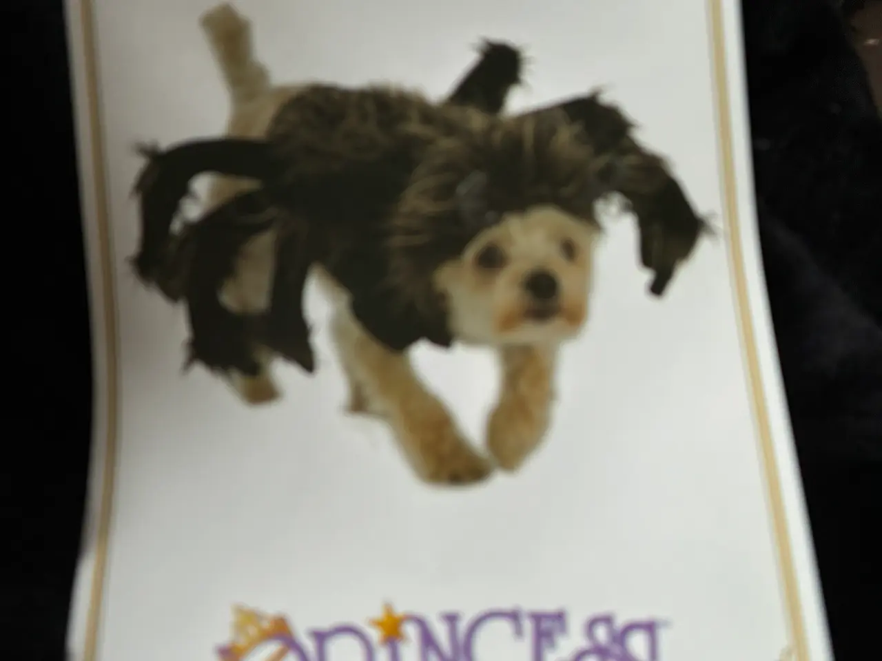 Billede 1 - Hundekostume til halloween