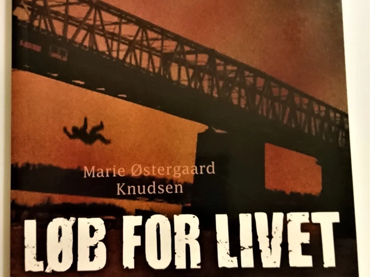 Billede 1 - Løb for livet - en Jansson og Post-krimi