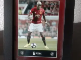 Pogpa i Manchester United