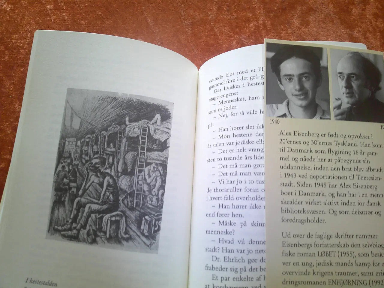 Billede 2 - Theresienstadt elegi, Alex Eisenberg