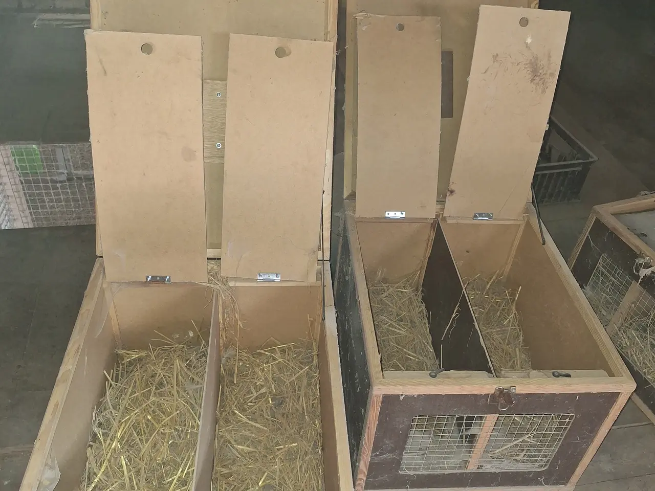 Billede 2 - Transport kasser 