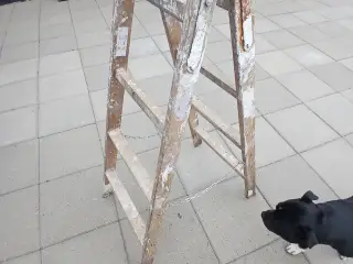 4 trins wienerstige