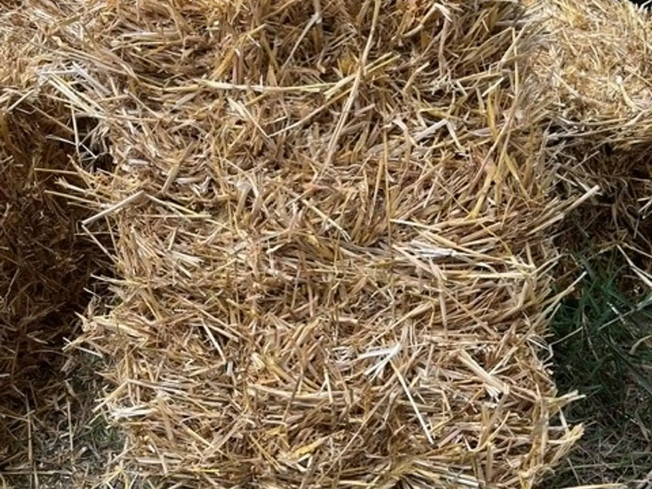 Billede 1 - Ny presset halm