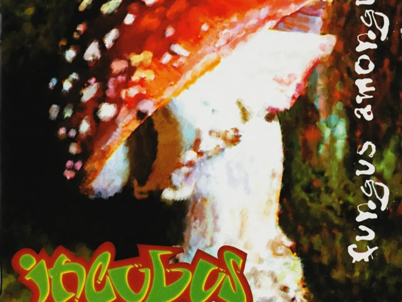Billede 1 - Incubus – Fungus Amongus – CD