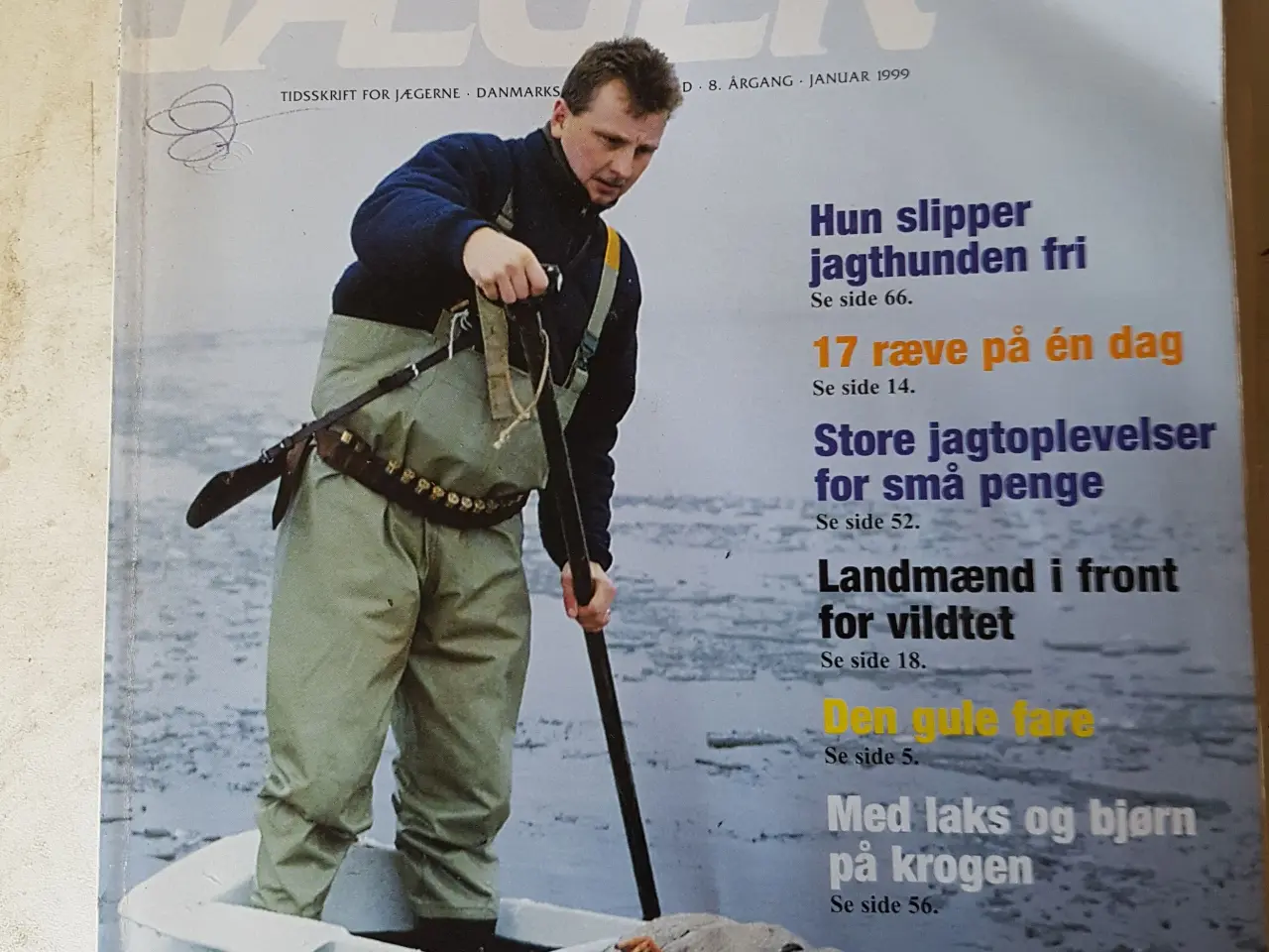 Billede 5 - Jagtblade