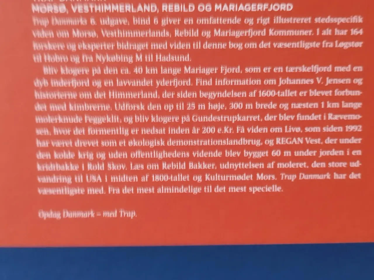 Billede 2 - Trap Danmark