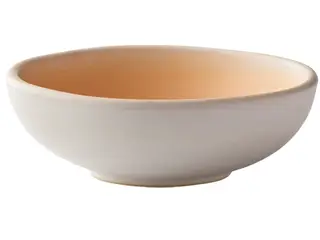 26 stk. Skål Ø 18cm 50cl orange