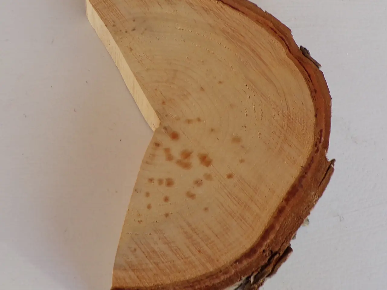 Billede 3 - NY Thuja Træskive 21,5 cm til kreative projekter