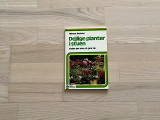 Dejlige planter i stuen - af Helmut Bechtel