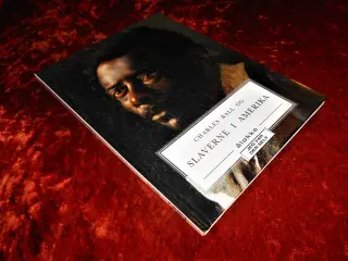 Charles Ball og slaverne i Amerika, Charles Ball