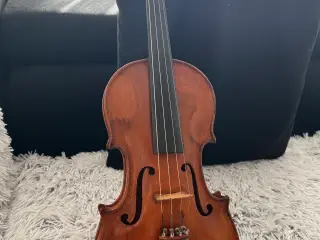 Violin 