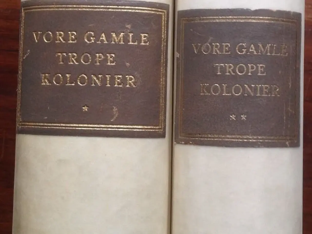 Billede 1 - Vore gamle Troppekolonier