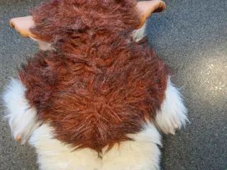 Gizmo