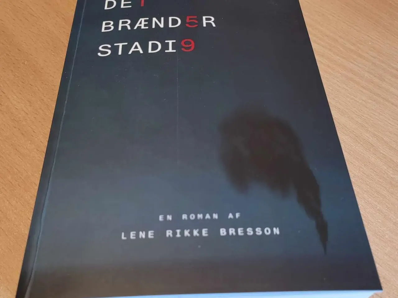 Billede 1 - Det brænder stadig Lene Rikke Bresson