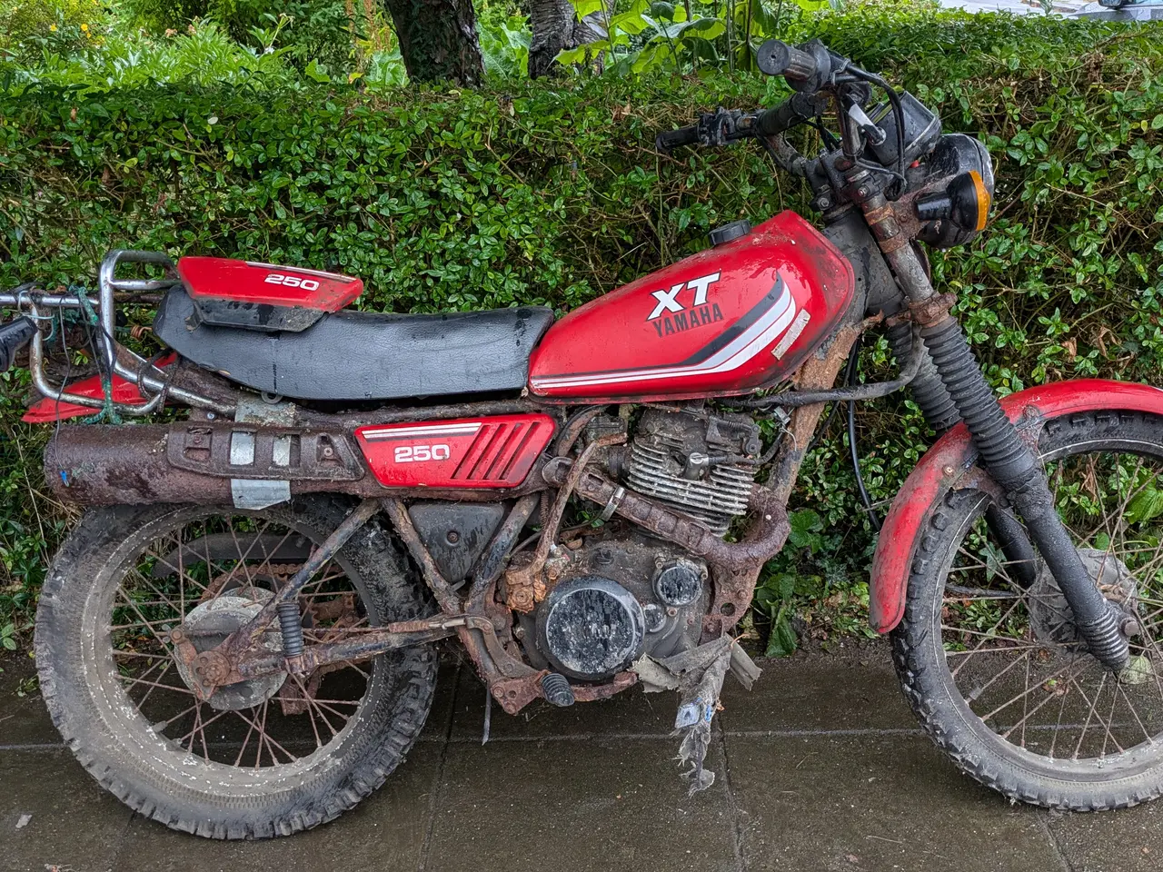 Billede 2 - Yamaha XT 250