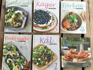 Små kogebøger, forskellige, priser fra 10 kr.