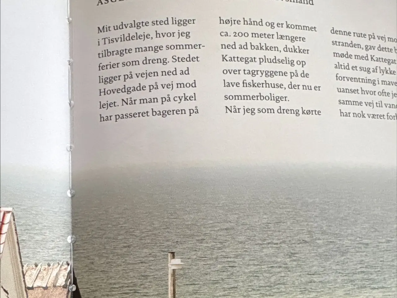 Billede 3 - Bog - “Mit Danmark”