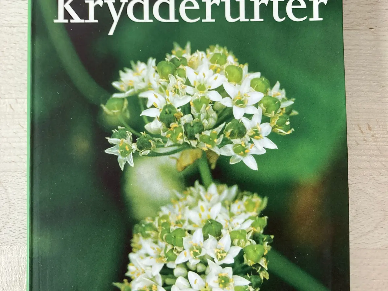Billede 1 - Krydderurter, Anemette Olesen