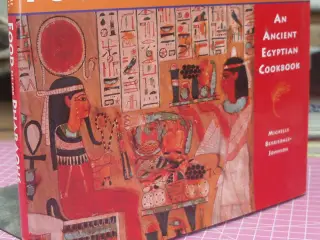 Food fit for Pharaohs an ancient Egyptian cookbook