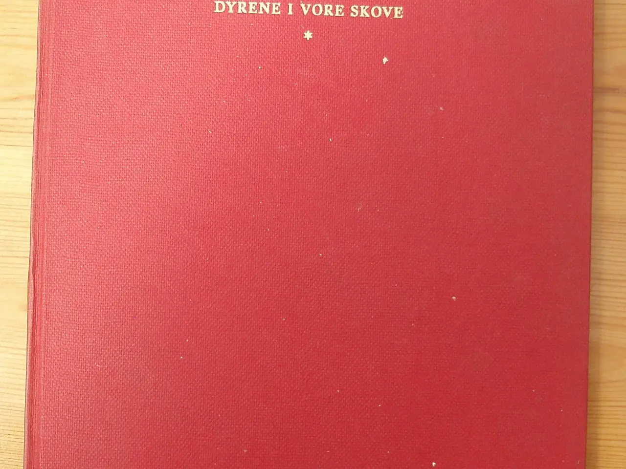 Billede 1 - Dyrene i vore skove af Hans Hvass
