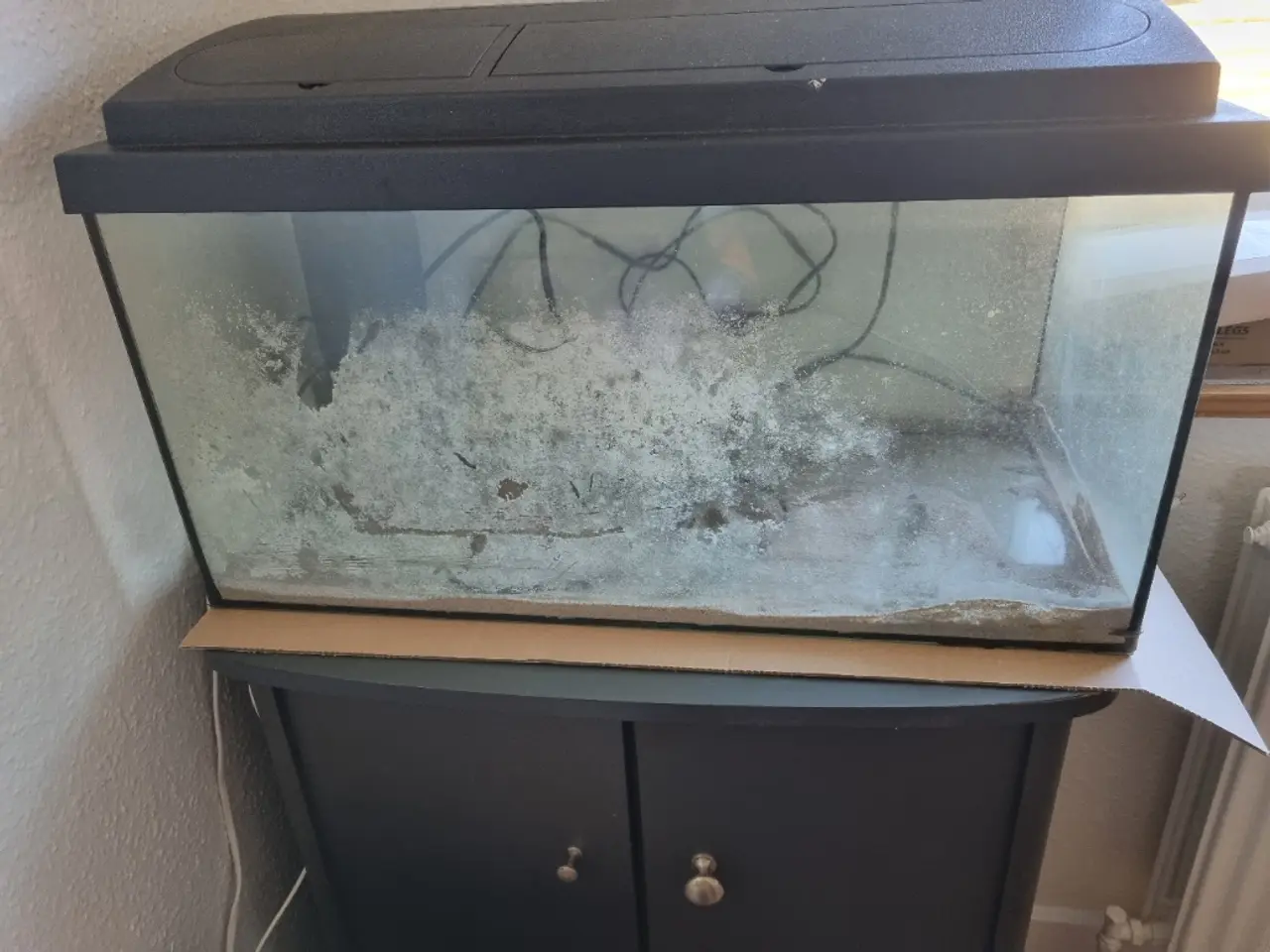 Billede 1 - 54L akvarium