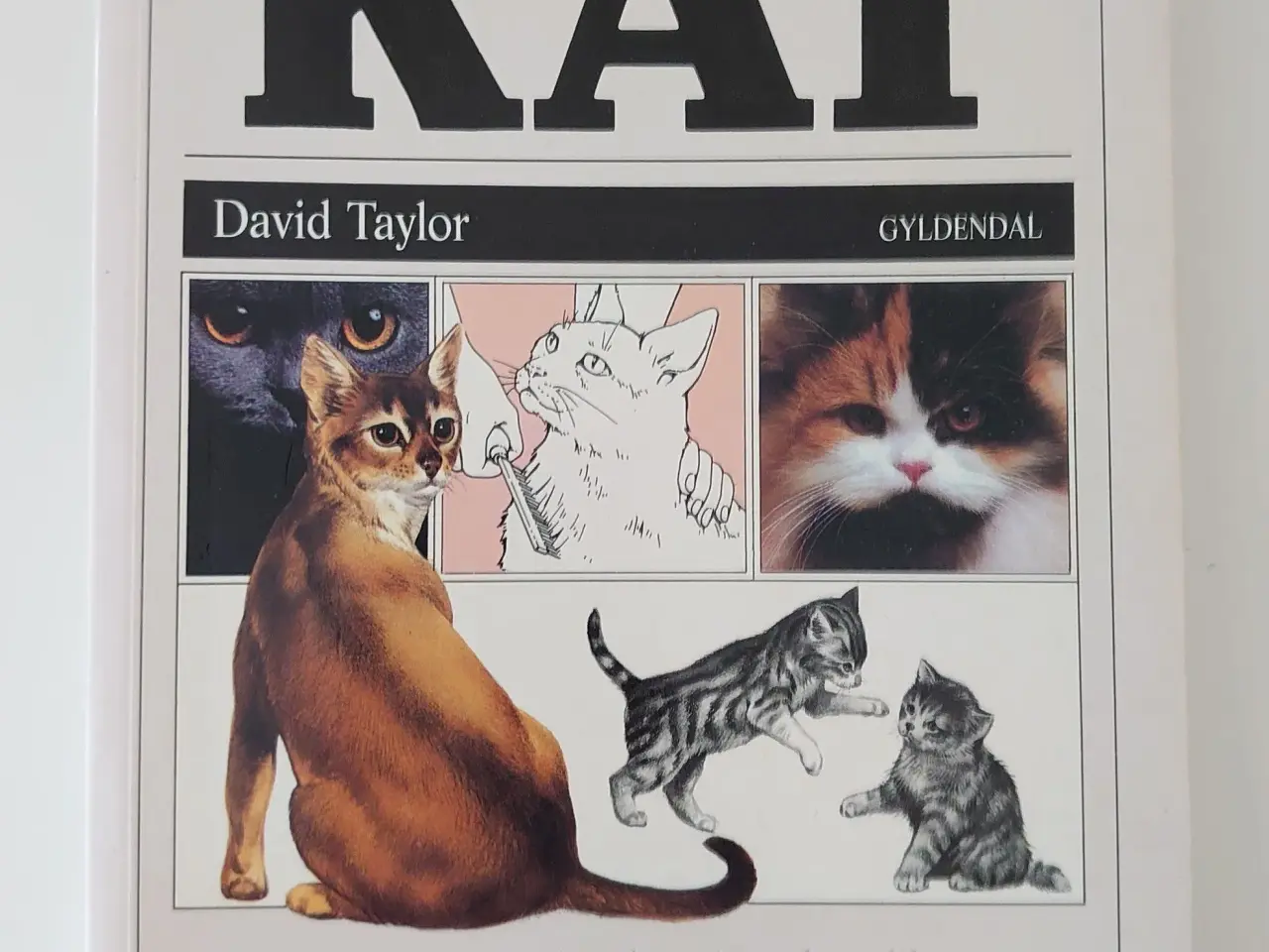 Billede 1 - David Taylor: Du og din Kat, Gyldendal 1990.