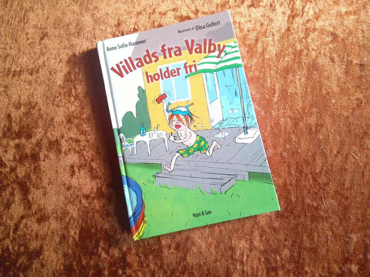 Billede 1 -  Villads fra Valby holder fri, Anne Sofie Hammer