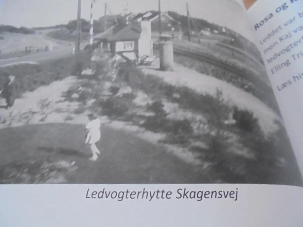 Billede 5 - Ledvogterhuse og ledvogtere – se fotos og omtale