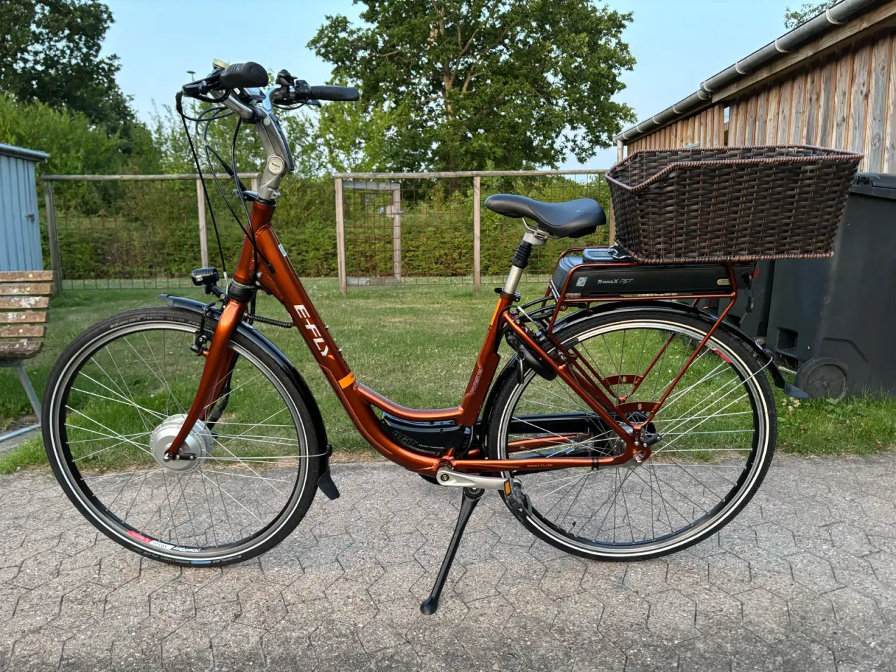 Billede 20 - Total renoveret E-Fly Premium AGT